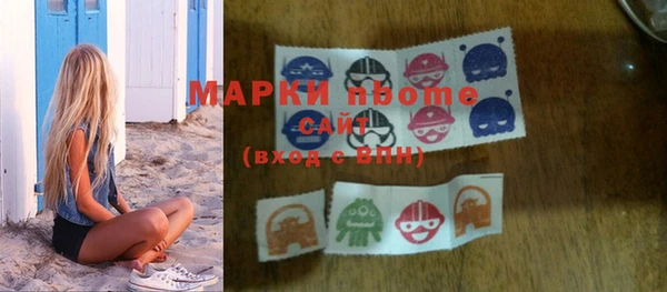 гидра Ельня