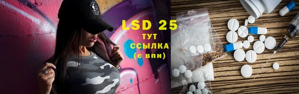 гидра Ельня
