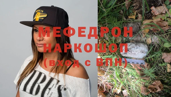 гидра Ельня
