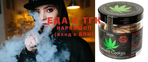 гидра Ельня