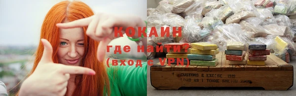 гидра Ельня