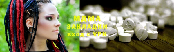 гидра Ельня