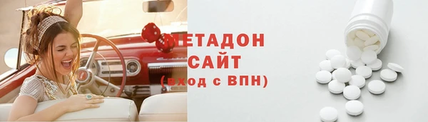 гидра Ельня