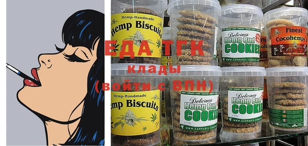 гидра Ельня