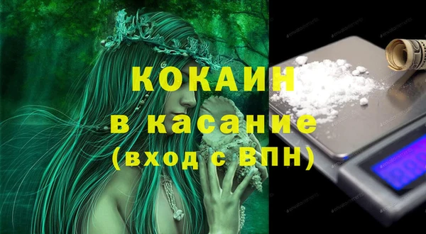 гидра Ельня