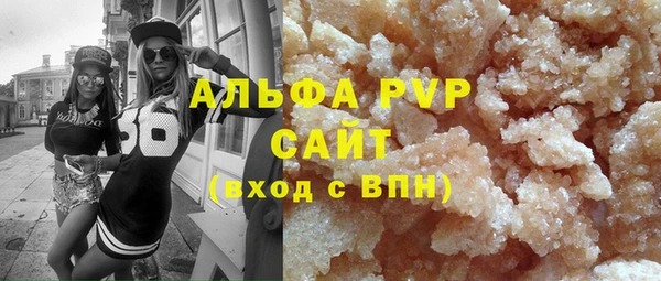 гидра Ельня