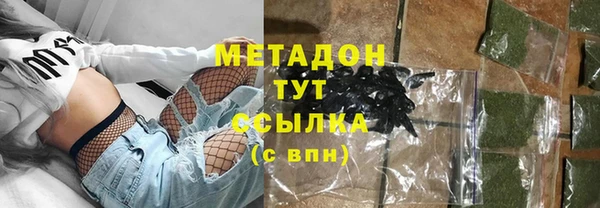 гидра Ельня