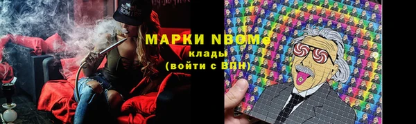 гидра Ельня
