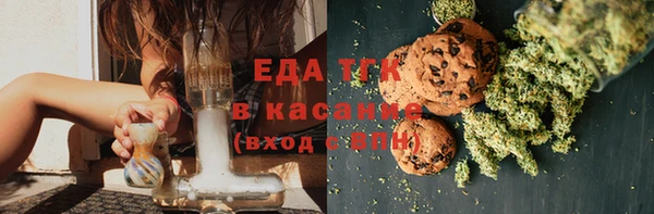 гидра Ельня