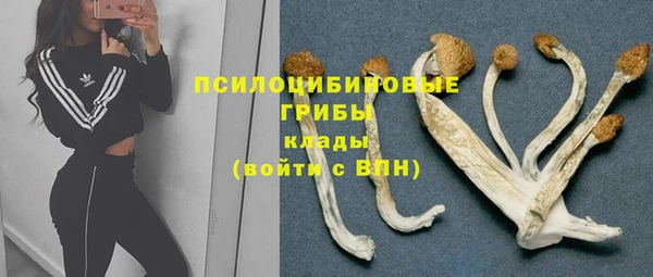 гидра Ельня